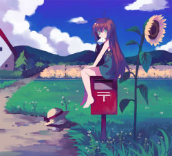 Rule 34 | 1girl, ahoge, bad id, bad pixiv id, barefoot, blue eyes, brown hair, cloud, day, dress, flower, grass, hat, japanese postal mark, letter, long hair, mailbox, mouth hold, original, postbox, red hair, shatiko, sitting, sky, solo, straw hat, sunflower