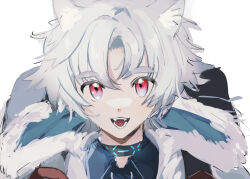 Rule 34 | 1boy, :d, animal ear fluff, animal ears, arknights, black jacket, black shirt, fangs, fur-trimmed jacket, fur trim, grey hair, hair between eyes, highres, inu to milk, jacket, looking at viewer, male focus, open clothes, open jacket, open mouth, parted bangs, portrait, qanipalaat (arknights), red eyes, shirt, short eyebrows, simple background, smile, solo, thick eyebrows, white background