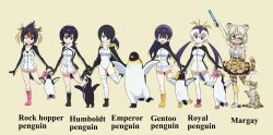 Rule 34 | 6+girls, :d, ;d, arm up, baton, beige background, bird, black-framed eyewear, black footwear, black hair, blonde hair, boots, brown eyes, clenched hand, closed mouth, commentary request, creature and personification, drawstring, elbow gloves, emperor penguin, emperor penguin (kemono friends), english text, gentoo penguin, gentoo penguin (kemono friends), glasses, gloves, glowstick, hair over one eye, hairband, headphones, high-waist skirt, highres, holding, holding glowstick, hood, hood down, hooded leotard, hoodie, humboldt penguin, humboldt penguin (kemono friends), jacket, kemono friends, leg up, leotard, long hair, long sleeves, looking at viewer, low twintails, margay, margay (kemono friends), margay print, medium hair, messy hair, miniskirt, multicolored hair, multiple girls, name connection, no pants, one eye closed, open mouth, penguin, penguins performance project (kemono friends), pink footwear, pleated skirt, print gloves, print legwear, print skirt, red hair, rockhopper penguin, rockhopper penguin (kemono friends), royal penguin, royal penguin (kemono friends), shirt, shoes, short hair, side ponytail, silver hair, simple background, skirt, sleeveless, sleeveless shirt, smile, standing, standing on one leg, swept bangs, thighhighs, twintails, white hairband, white hoodie, white jacket, white legwear, white leotard, white shirt, white skirt, yamaguchi yoshimi, yellow footwear, yellow legwear, yellow skirt