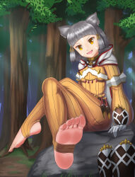 Rule 34 | 1girl, absurdres, animal ears, boots, unworn boots, cat ears, crossed legs, facepaint, fangs, feet, foot focus, forest, gloves, grey hair, highres, knife, leiqiya, nature, nia (xenoblade), open mouth, rock, sitting, soles, solo, stirrup legwear, throwing knife, toeless legwear, tree, weapon, white gloves, xenoblade chronicles (series), xenoblade chronicles 2, yellow eyes