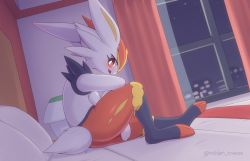 Rule 34 | bright pupils, cinderace, commentary request, creatures (company), curtains, from side, furry, game freak, gen 8 pokemon, indoors, kajinchu, looking at viewer, night, nintendo, on bed, open mouth, orange eyes, pillow, pokemon, pokemon (creature), sideways glance, sky, solo, star (sky), teeth, toes, twitter username, upper teeth only, white fur, white pupils, window