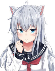 Rule 34 | 1girl, ahoge, anchor symbol, animal ears, black sailor collar, cat ears, commentary request, grey eyes, grey hair, hibiki (kancolle), highres, kantai collection, long hair, looking at viewer, neckerchief, nyanzai-sensei, red neckerchief, sailor collar, school uniform, serafuku, simple background, smile, solo, upper body, white background