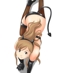 Rule 34 | from above, maria-sama ga miteru, simple background, tagme, tail, thighhighs, toshifumi, white background