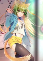 Rule 34 | 1girl, absurdres, ahoge, animal ears, atalanta (fate), black thighhighs, blonde hair, blue jacket, blurry, breasts, choker, commentary request, depth of field, fate/apocrypha, fate/grand order, fate (series), garter straps, gradient hair, green eyes, green hair, highres, hood, hooded jacket, jacket, long hair, long sleeves, looking at viewer, midriff, multicolored hair, navel, open clothes, open jacket, print shirt, satoimo (3311 mi), shirt, shorts, small breasts, smile, solo, tail, thighhighs, white shirt, yellow shorts