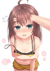 Rule 34 | 1girl, absurdres, ahoge, bare shoulders, blush, bra, breasts, brown hair, collarbone, commentary request, cowboy shot, green eyes, hand on another&#039;s head, highres, hololive, long hair, looking at viewer, natsuiro matsuri, natsuiro matsuri (matsuri&#039;s day off), navel, open mouth, pov, short shorts, shorts, small breasts, solo focus, standing, starkamisan, stomach, strap slip, underwear, virtual youtuber, white background, yellow bra, yellow shorts