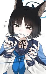 Rule 34 | 1girl, animal ears, black eyes, black hair, black nails, blue archive, blue neckerchief, blue sailor collar, bound, cat ears, cha ga ma, halo, haori, highres, japanese clothes, kikyou (blue archive), long sleeves, mouth hold, neckerchief, sailor collar, shirt, short hair, solo, string, string in mouth, tied up (nonsexual), upper body, white shirt
