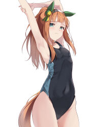 Rule 34 | 1girl, absurdres, alternate costume, animal ears, armpits, arms up, blue eyes, blunt bangs, blush, breasts, closed mouth, competition swimsuit, groin, hair ornament, headband, highres, horse ears, looking at viewer, one-piece swimsuit, pandoa (mikage0495), ponytail, silence suzuka (umamusume), simple background, small breasts, stretching, sweat, swimsuit, umamusume, white background