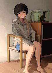 Rule 34 | 1girl, absurdres, aquarium, bare legs, barefoot, black hair, blue shorts, blush, bookshelf, brown eyes, chair, commentary, denim, denim shorts, dot mouth, drawstring, expressionless, flower, grey hoodie, hands on lap, highres, hood, hood down, hoodie, indoors, jar, legs, light blush, long sleeves, looking at viewer, mmmo3, nose blush, on chair, original, pink nails, short hair, shorts, sitting, sleeves past wrists, solo, thermometer, vase, wooden floor