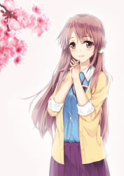 Rule 34 | 1girl, blue shirt, blurry, brown eyes, brown hair, cardigan, cowboy shot, depth of field, dress shirt, floating hair, flower, grey background, hair ornament, hentai kuwa, highres, interlocked fingers, long hair, looking at viewer, open cardigan, open clothes, own hands together, parted lips, pink flower, pleated skirt, purple skirt, sakura quest, shinomiya shiori, shirt, skirt, sleeves rolled up, solo, standing, very long hair, yellow cardigan