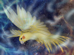 Rule 34 | animal focus, beak, bird, black eyes, cockatiel, feathers, fire, flying, from side, full body, highres, no humans, original, parrot, shiropooo, sky, space, spread wings, star (sky), starry sky, talons, wings, yellow feathers, yellow wings