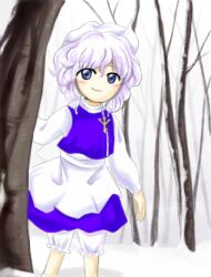 Rule 34 | 1girl, apron, bare tree, bloomers, blue eyes, blue skirt, blue vest, closed mouth, commentary request, hat, lapel pin, letty whiterock, long sleeves, lowres, medinki, no nose, official style, outdoors, purple hair, short hair, skirt, skirt set, smile, snow, solo, standing, touhou, tree, underwear, vest, waist apron, white apron, white bloomers, white hat, winter, zun (style)