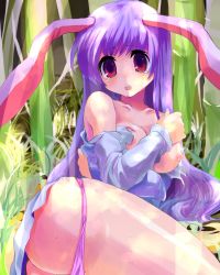 Rule 34 | 1girl, animal ears, ass, bad id, bad pixiv id, bamboo, bamboo forest, blush, breasts, rabbit ears, female focus, forest, kobanzame, light rays, long hair, nature, nipples, panties, panty pull, purple hair, purple panties, reisen udongein inaba, skirt, solo, sunbeam, sunlight, tears, torn clothes, touhou, underwear