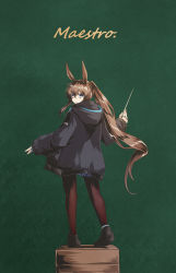 Rule 34 | 1girl, amiya (arknights), animal ears, arknights, conductor baton, black footwear, black jacket, blue skirt, brown hair, brown pantyhose, commentary request, from behind, green background, holding, hood, hood down, hooded jacket, jacket, long hair, long sleeves, looking at viewer, looking back, pantyhose, pleated skirt, ponytail, puffy long sleeves, puffy sleeves, rabbit ears, shoe soles, shoes, simple background, skirt, sleeves past wrists, solo, very long hair, yume (i think.)