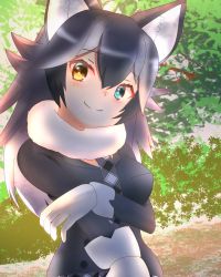 Rule 34 | 1girl, animal ears, bad id, bad pixiv id, black hair, blue eyes, blush, breast pocket, breasts, commentary, commentary request, forest, fur collar, gloves, grey wolf (kemono friends), heterochromia, highres, kemono friends, large breasts, looking at viewer, multicolored hair, nature, outdoors, plaid neckwear, pocket, sd (s-di), smile, solo, two-tone hair, white gloves, white hair, wolf ears, wolf girl, yellow eyes