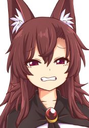 Rule 34 | 1girl, animal ear fluff, animal ears, black capelet, brooch, brown hair, capelet, clenched teeth, dress, frown, grimace, hair between eyes, half-closed eyes, imaizumi kagerou, jewelry, long hair, looking at viewer, portrait, red eyes, sidelocks, simple background, solo, teeth, touhou, tsurime, white background, white dress, wolf ears, wool (miwol)