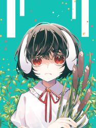 Rule 34 | 1girl, animal ears, black hair, blue background, cattail, closed mouth, commentary request, flat chest, floppy ears, frilled shirt collar, frills, frown, grass, highres, holding, inaba tewi, looking at viewer, neck ribbon, plant, portrait, rabbit ears, rabbit girl, raised eyebrow, red eyes, red ribbon, ribbon, shirt, short hair, solo, toraneko 2, touhou, white shirt