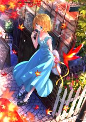 Rule 34 | 10s, 1girl, alternate costume, ankle garter, autumn, autumn leaves, black footwear, blonde hair, blue dress, blue eyes, blush, breasts, cellphone, charm (object), covered mouth, dress, falling leaves, fence, from above, glass, hair ornament, hairband, hat, hat ribbon, heavy object, highres, holding, holding clothes, holding hat, holding phone, lace-trimmed hat, lace trim, leaf, long dress, mary janes, menu board, milinda brantini, motion blur, outdoors, phone, plant, potted plant, reflection, ribbon, shoes, shop, short hair, sidewalk, sleeveless, sleeveless dress, small breasts, socks, solo, standing, storefront, sun hat, swordsouls, unworn hat, unworn headwear, white hat, white socks