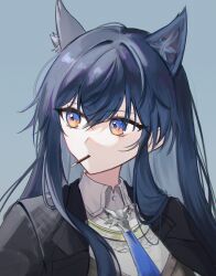 Rule 34 | 1girl, animal ear fluff, animal ears, arknights, black hair, black jacket, blue eyes, blue necktie, closed mouth, collared shirt, commentary request, food, food in mouth, grey background, hair between eyes, highres, jacket, long hair, looking to the side, mouth hold, necktie, pocky, rin (ryne 0303), shirt, simple background, solo, texas (arknights), texas the omertosa (arknights), upper body, white shirt
