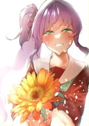 Rule 34 | 2girls, blush, commentary, crying, crying with eyes open, female pov, floating hair, flower, green eyes, grin, hair bun, hair flower, hair ornament, highres, hinoshita kaho, holding, holding flower, light particles, link! like! love live!, long hair, looking at viewer, love live!, multiple girls, orange flower, otomune kozue, pov, purple hair, red flower, side ponytail, sidelocks, simple background, single side bun, smile, solo focus, tears, two-handed, virtual youtuber, white background, yaa-kun