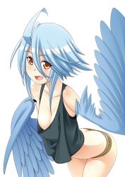 Rule 34 | 1girl, :d, ahoge, arched back, ass, bare shoulders, blue hair, breasts, butt crack, cleavage, downblouse, downpants, feathered wings, hair between eyes, harpy, leaning forward, looking at viewer, monster girl, monster musume no iru nichijou, no bra, official art, okayado, open mouth, orange eyes, papi (monster musume), short hair, short shorts, shorts, simple background, small breasts, smile, solo, white background, winged arms, wings