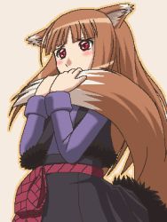 Rule 34 | 00s, 1girl, animal ears, awa, brown hair, holo, jaggy lines, lowres, oekaki, red eyes, solo, spice and wolf, tail, wolf ears, wolf tail