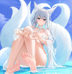 Rule 34 | 1girl, animal ear fluff, animal ears, ass, azur lane, bare legs, bare shoulders, bikini, blue eyes, breasts, choker, closed mouth, convenient leg, detached sleeves, feet, fox ears, fox tail, halterneck, heart, heart hands, highres, knees up, large breasts, long hair, looking at viewer, multiple tails, official alternate costume, qing wu, shinano (azur lane), shinano (dreamy white sands) (azur lane), sitting, smile, soles, solo, string bikini, swimsuit, tail, thighs, toes, very long hair, water, wet, white bikini, white choker, white hair