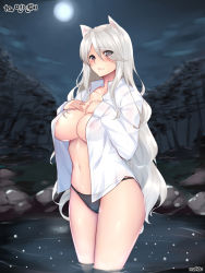 Rule 34 | 1girl, animal ears, black panties, breasts, character request, cleavage, collarbone, commentary request, dungeon and fighter, full moon, grey eyes, large breasts, long hair, long sleeves, looking at viewer, moon, navel, night, night sky, nipples, outdoors, panties, see-through, shaojiang, shirt, silver hair, sky, solo, standing, tree, underwear, wet, wet clothes, white shirt
