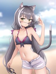 Rule 34 | 1girl, absurdres, animal ear fluff, animal ears, bare arms, bare shoulders, bikini, bikini under clothes, black bikini, black hair, blurry, blurry background, blush, breasts, cat ears, cat girl, cat tail, collarbone, cowboy shot, day, depth of field, frilled bikini, frills, green eyes, hand up, highres, karyl (princess connect!), karyl (summer) (princess connect!), long hair, looking at viewer, low twintails, mahdi, multicolored hair, navel, open clothes, open fly, open shorts, outdoors, parted lips, princess connect!, removing eyewear, shorts, small breasts, smile, solo, stomach, streaked hair, sunglasses, swimsuit, tail, twintails, two-tone hair, very long hair, white-framed eyewear, white hair, white shorts