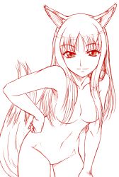 Rule 34 | 00s, 1girl, animal ears, bent over, breasts, holo, lineart, long hair, medium breasts, misnon the great, monochrome, nude, sketch, solo, spice and wolf, tail, wolf ears