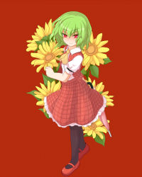 Rule 34 | 1girl, arm behind back, ascot, black pantyhose, closed umbrella, colored eyelashes, flower, full body, green hair, highres, ichinen konto, kazami yuuka, looking at viewer, mary janes, open clothes, open vest, pantyhose, plaid, plaid skirt, plaid vest, red background, red eyes, shoes, short hair, short sleeves, simple background, skirt, smile, solo, sunflower, touhou, umbrella, vest