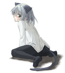 Rule 34 | 00s, 1girl, animal ears, black pantyhose, crotch seam, feet, pantyhose, sanya v. litvyak, solo, strike witches, tail, world witches series, you2