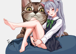Rule 34 | 1girl, :d, animal ears, artist name, ass, bare legs, barefoot, black dress, blush, bow, bowtie, brown cat, cat, cat ears, chinese commentary, commentary request, dress, fangs, feet, feiqizi (fkey), fkey, full body, green bow, green bowtie, grey background, knees up, lace-trimmed collar, lace trim, leg up, long hair, long sleeves, looking at viewer, one side up, open mouth, original, panties, pantyshot, red eyes, shirt, short dress, signature, silver hair, simple background, sitting, smile, solo, thighs, toes, underwear, white panties, white shirt, wing collar