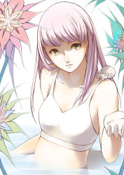 Rule 34 | 1girl, :3, animal, animal on shoulder, bra, breasts, collarbone, green eyes, highres, light purple hair, long hair, looking at viewer, noraico, original, parted lips, partially submerged, small breasts, solo, sports bra, underwear, water, white bra