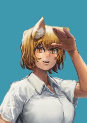 Rule 34 | 1girl, absurdres, animal ear fluff, animal ears, blonde hair, blue background, blush, chanta (ayatakaoisii), collared shirt, fang, fox ears, hand up, highres, looking at viewer, open mouth, shirt, short hair, short sleeves, simple background, slit pupils, smile, solo, touhou, upper body, white shirt, wing collar, yakumo ran, yellow eyes