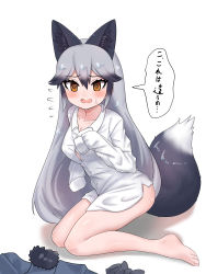 Rule 34 | 1girl, @ @, animal ears, aramaru, barefoot, borrowed clothes, brown eyes, unworn clothes, commentary, flying sweatdrops, fox ears, fox tail, frown, fur collar, grey hair, highres, kemono friends, long hair, looking at viewer, naked shirt, no pants, open mouth, shadow, shirt, silver fox (kemono friends), simple background, sleeves past fingers, sleeves past wrists, solo, sweatdrop, tail, translated, very long hair, white background