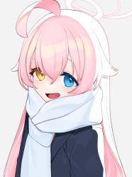 Rule 34 | 1girl, absurdres, ahoge, alternate costume, black coat, blue archive, blue eyes, blush, coat, fang, grey background, hair between eyes, hair flaps, halo, heterochromia, highres, hoshino (blue archive), long hair, looking at viewer, open mouth, pink hair, scarf, signalviolet, simple background, solo, very long hair, white scarf, yellow eyes