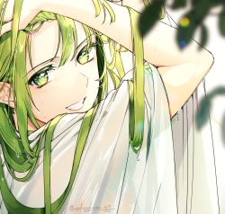Rule 34 | 1other, blurry, blurry foreground, close-up, commentary, depth of field, dripping, ede, enkidu (fate), fate/grand order, fate/strange fake, fate (series), green eyes, green hair, grin, hands in hair, hands up, leaf, long hair, looking at viewer, other focus, portrait, smile, solo, twitter username, wet, wet clothes, wet hair