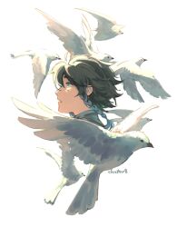 Rule 34 | 1boy, aqua eyes, artist name, bird, black hair, braid, cfeather8, close-up, dove, flock, from side, genshin impact, highres, looking ahead, male focus, open mouth, portrait, simple background, solo, twin braids, venti (genshin impact), white background