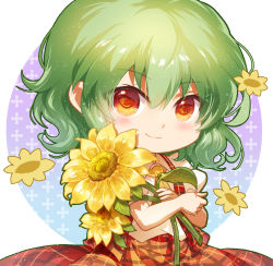 Rule 34 | 1girl, ascot, blush, chibi, circle, commentary, flower, green hair, hair between eyes, holding, holding flower, jokanhiyou, kazami yuuka, light particles, looking at viewer, plaid, plaid skirt, plaid vest, puffy short sleeves, puffy sleeves, red eyes, red skirt, red vest, shirt, short hair, short sleeves, sidelocks, simple background, skirt, skirt set, smile, solo, sunflower, touhou, upper body, vest, white background, white shirt, yellow ascot