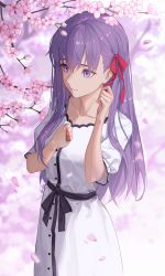 Rule 34 | 1girl, cherry blossoms, closed mouth, dress, drid, fate/stay night, fate (series), hair ribbon, hands up, highres, holding, charm (object), long hair, matou sakura, official alternate costume, puffy short sleeves, puffy sleeves, purple eyes, purple hair, red ribbon, ribbon, short sleeves, smile, solo, upper body, white dress