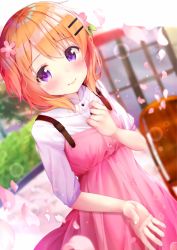 Rule 34 | 1girl, blurry, blush, breasts, buttons, chair, closed mouth, collared shirt, commentary request, cowboy shot, day, depth of field, dress, dutch angle, flower, gochuumon wa usagi desu ka?, hair flower, hair ornament, hairclip, hand on own chest, highres, hoto cocoa, long hair, looking at viewer, orange hair, outdoors, petals, pink dress, purple eyes, rouka (akatyann), shirt, short sleeves, small breasts, solo, white shirt, window, wing collar