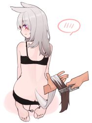 Rule 34 | 1girl, 1other, animal ears, ass, bare shoulders, black bra, black panties, bra, butt crack, closed mouth, colored shadow, comb, commentary request, disembodied limb, full body, grey hair, holding, long hair, looking at viewer, looking back, original, panties, profile, red eyes, seiza, shadow, shako (syakoba3), simple background, sitting, solo focus, spoken blush, tail, tail brushing, underwear, underwear only, wavy mouth, white background