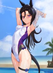 Rule 34 | 1girl, animal ears, armpits, beach, black hair, blurry, blurry background, blush, breasts, cowboy shot, hair between eyes, highres, horse ears, horse girl, horse tail, long hair, looking at viewer, medium breasts, one-piece swimsuit, outdoors, purple eyes, rice shower (umamusume), small breasts, solo, swimsuit, tail, tatsumi yashiro, thigh strap, umamusume, wet, wet clothes