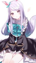 Rule 34 | 1girl, animal ears, aqua bow, aqua socks, between legs, blush, bow, closed mouth, dress, frilled dress, frills, hand between legs, highres, horse ears, horse girl, horse tail, kneehighs, long hair, long sleeves, looking at viewer, mejiro mcqueen (umamusume), misumi (macaroni), own hands together, parted lips, purple eyes, purple hair, rabbit ears, sitting, socks, solo, tail, umamusume, v arms, white background