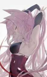 Rule 34 | 1girl, absurdres, animal ears, arknights, arms up, black bra, black gloves, bra, breasts, from side, gloves, hair intakes, highres, holding, holding own hair, konota ko, long hair, looking at viewer, medium breasts, pink eyes, pink hair, ponytail, pozyomka (arknights), red skirt, sideways glance, simple background, skirt, solo, tail, underwear, white background, wolf ears, wolf girl, wolf tail