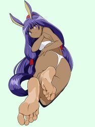 1girl animal_ears barefoot dark-skinned_female dark_skin fate/grand_order fate_(series) feet highres jmpdwgtdw938 long_hair looking_at_viewer looking_back nitocris_(fate) purple_eyes purple_hair smile soles toes