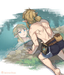 Rule 34 | 1boy, all fours, ass, barefoot, black shorts, blonde hair, blue eyes, commentary request, earrings, grass, jewelry, link, male focus, monbetsu kuniharu, nintendo, pointy ears, pouch, reflection, reflective water, scar, scar on arm, scar on back, scar on shoulder, sheikah slate, short ponytail, shorts, solo, the legend of zelda, the legend of zelda: tears of the kingdom, topless male