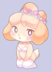 Rule 34 | 1girl, alternate costume, animal crossing, animal ears, bare shoulders, black eyes, blonde hair, blue background, blush, bottomless, bow, bow bra, bra, breasts, cleavage, collar, diamond (shape), dog ears, dog girl, dog tail, female focus, flower, flower wreath, full body, furry, furry female, heart collar, isabelle (animal crossing), kneeling, looking at viewer, navel, nintendo, open mouth, pink flower, robot (pixiv 42325944), short hair, simple background, skindentation, small breasts, solo, sticker, stomach, tail, thighhighs, topknot, underwear, underwear only, white bra, white thighhighs