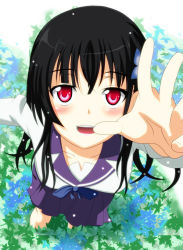 Rule 34 | 10s, 1girl, black hair, blush, bow, bowtie, flower, from above, hair flower, hair ornament, hydrangea, kengo619, long hair, looking at viewer, open mouth, outstretched hand, red eyes, sanka rea, sankarea, school uniform, serafuku, smile, solo, zombie