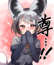 Rule 34 | 1girl, absurdres, animal ear fluff, animal ears, bad id, bad twitter id, bat-eared fox (kemono friends), black gloves, black hair, blush, brown eyes, choir (artist), commentary request, covering own mouth, elbow gloves, extra ears, fox ears, fox tail, fur-trimmed sleeves, fur trim, gloves, hand over own mouth, highres, kemono friends, looking at viewer, multicolored hair, short hair, short sleeves, silver hair, solo, sparkle, tail, tears, translated, two-tone hair, upper body